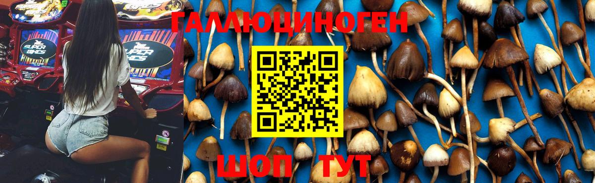 Псилоцибиновые грибы Psilocybine cubensis  Вход с VPN  Лабытнанги  Галлюциногенные грибы Psilocybine cubensis 